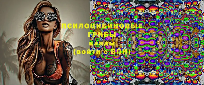 Галлюциногенные грибы MAGIC MUSHROOMS  Красногорск 